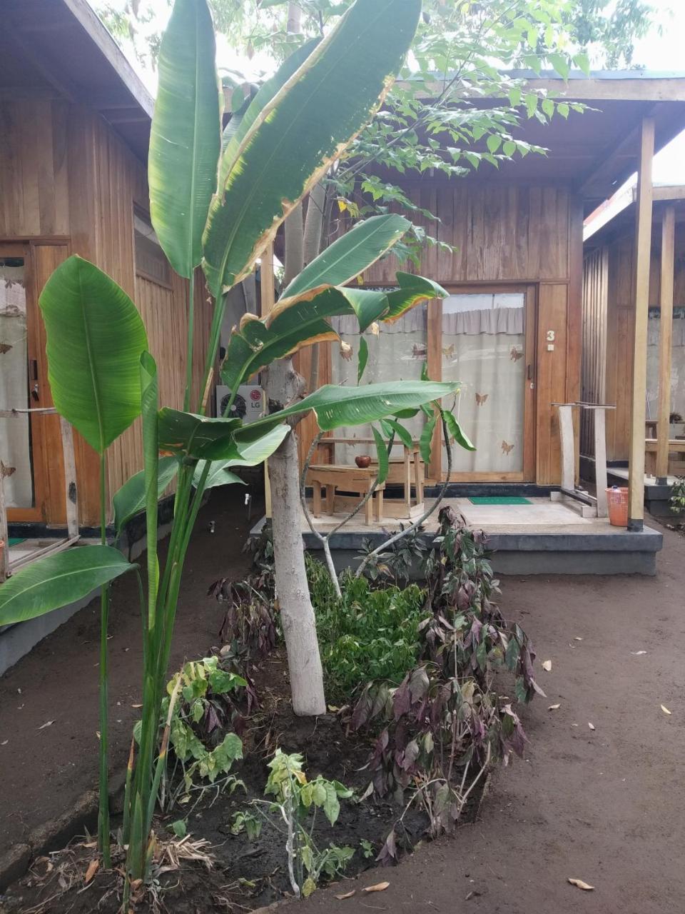 Beach Box Bungalow Джили Трауанган Екстериор снимка
